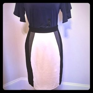 NWOT Color block Antonio Melani Pencil Skirt